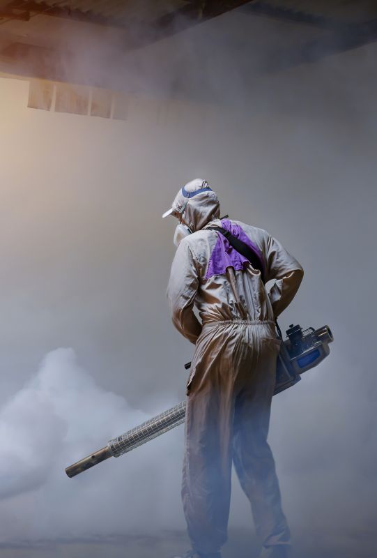 Pest Fumigation Service in San Antonio, TX