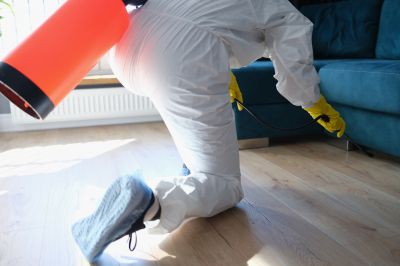 Pest Fumigation Service in San Antonio, TX